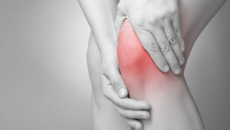 genou - menisque - ligaments - Alexandre Hryb - etiopathe Cogolin - Saint Tropez - Sainte Maxime - Le Lavandou - La Londe
